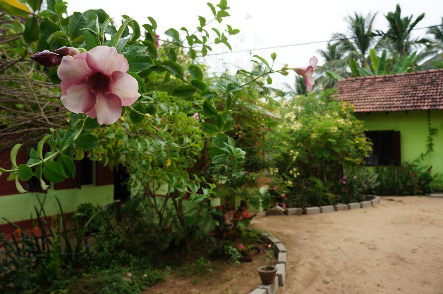 Hotel Surf & Yoga Arugam Bay Exterior foto